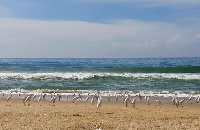 Aditi Ayurveda Panchkarma Retreat