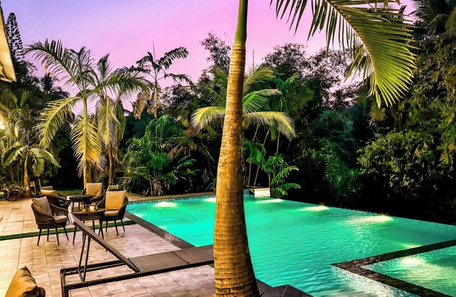 Aeraki palms