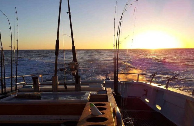 Agnes Cottage Bed & Breakfast