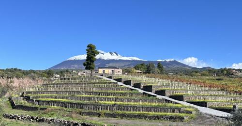 Agriturismo Travaglianti Alloggio Etna