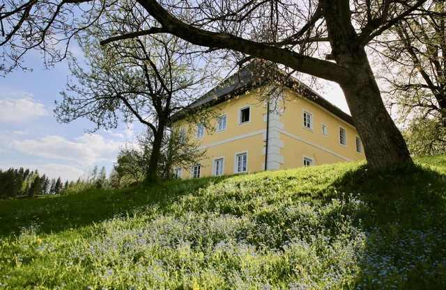 Aichhof Castle, 800 years old, luxury on 400,000m2