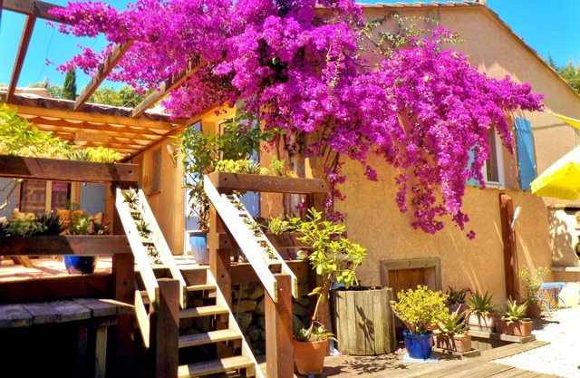 AIR-CONDITIONED, SINGLE-STOREY VILLA, SEA AND CORSICAN VIEWS LARGE GARDEN, DOGS ALLOWED