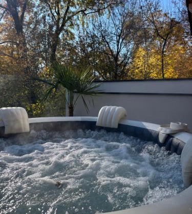 Aix-les-Bains T3 haut standing écrin de calme avec jacuzzi en supplément