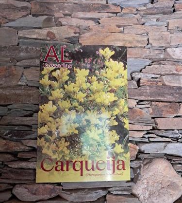 AL Rossadas Carqueija