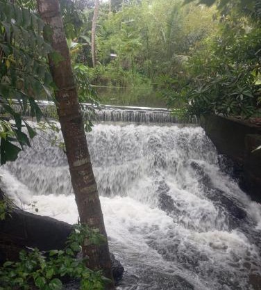 Alankulama Waana Resort