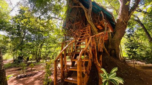 Ali Adi Eco Resort
