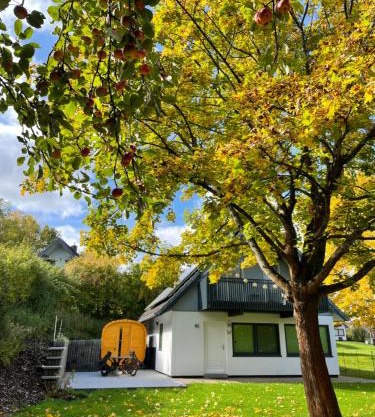 All inclusive Ferienhaus JULYN , Seepark