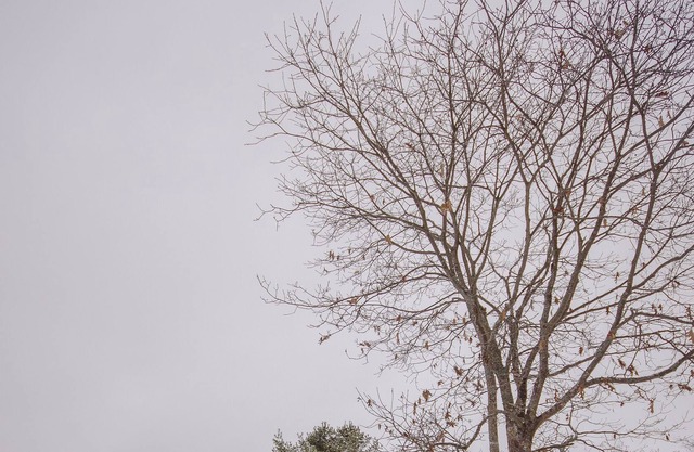 All Inclusive Pricing