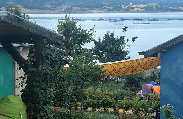 ALMUS ŞEHRİ SEFA BUNGALOV EVLERİ