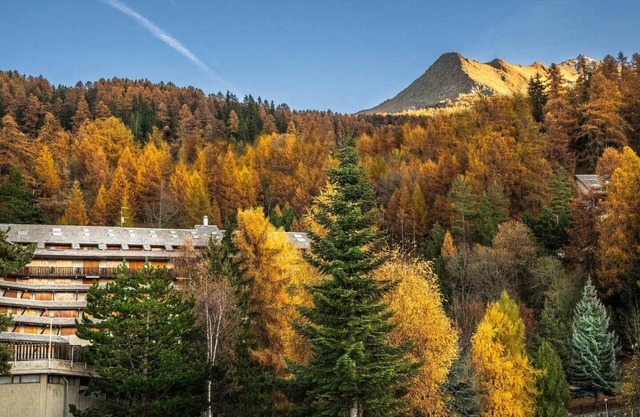 Alpine Embrace - Cozy studio apartment