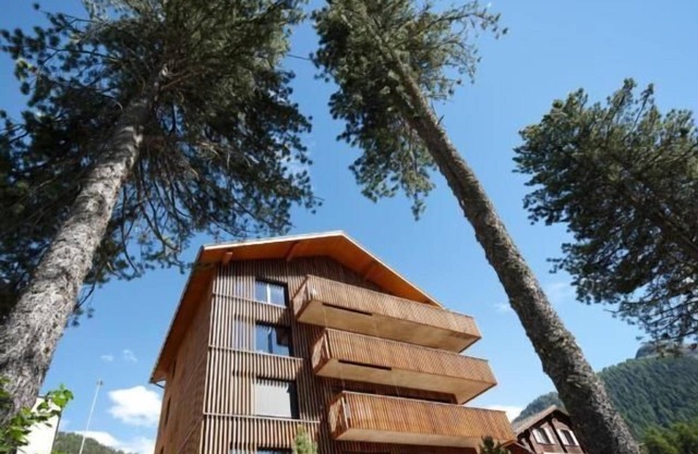 Alpine Lodge 6-bed-apartment Chesa al Parc/"free mountain railway transport" in summer