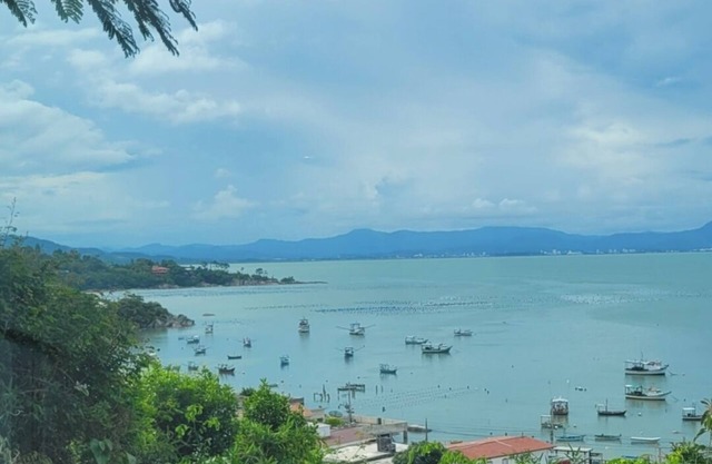 Amazing View