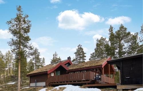 Amazing Home In Lesjaverk With Wi-Fi