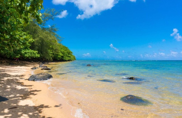 Amazing Ocean Front Condo at Pono Kai 2 Bd, 2 Ba, Sleeps 6
