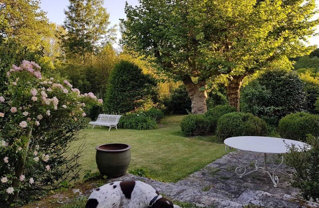 Ancient watermill close to Chambord and Blois- Loire Valley. Pet-Friendly