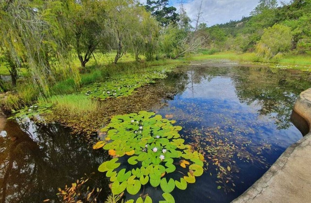Another Holiday Home