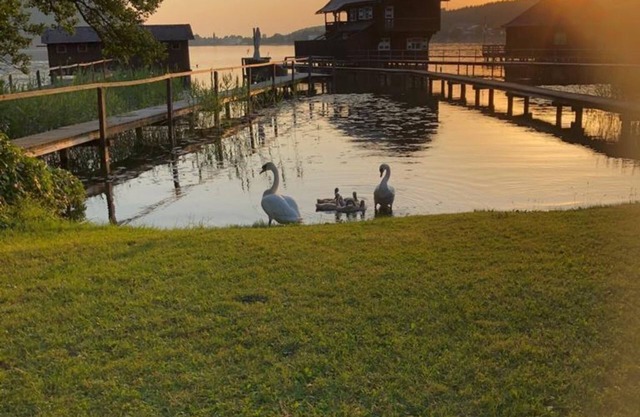 Apartm 2 bedrooms balcony kitchen - Apartementhaus Helene