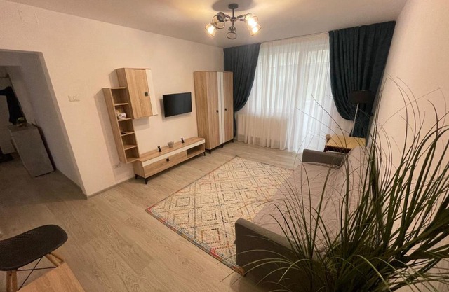 Apartament la Nicole ultracentral Bld Roman bloc 39