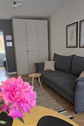 Apartament Lacus
