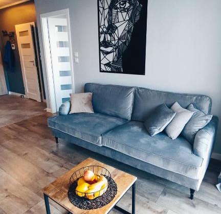 Apartament Młode Stogi