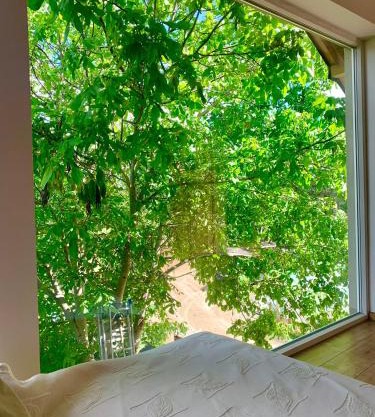 Apartament orzechowy superior