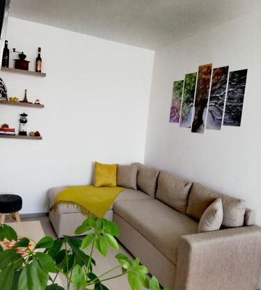 Apartament Raluca