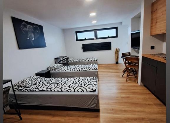 Apartamet typu studio ELEPHANT dla 4 osób