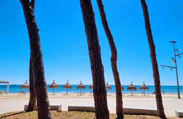 APARTBEACH SYMBIOSIS AND EQUESTRIAN ACTIVITIES