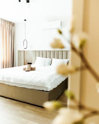 Aparthotel Cluj by SBM - Câmpina #11