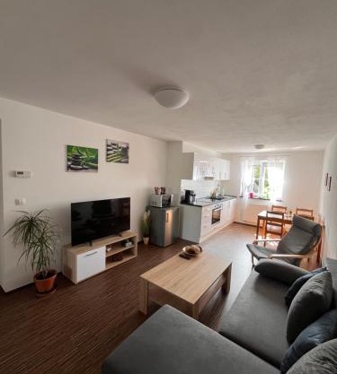 Apartmán Sadová 430