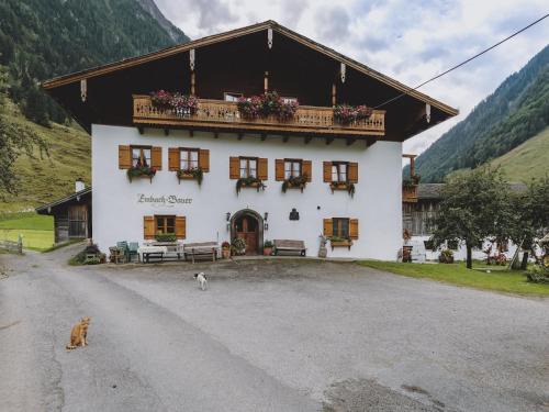 Apartment in Fusch an der Glocknerstraße in nature