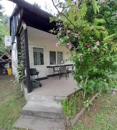 Apartman 1