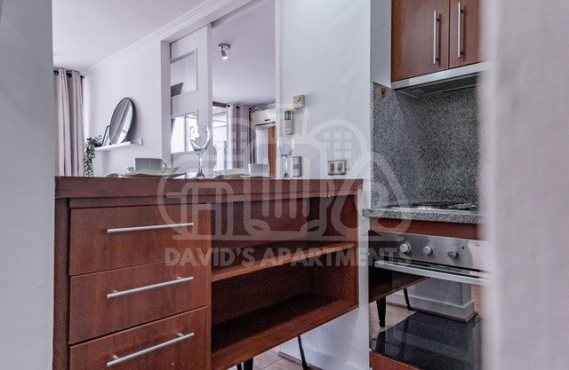 Apartment 18th floor Providencia Metro Manuel Montt