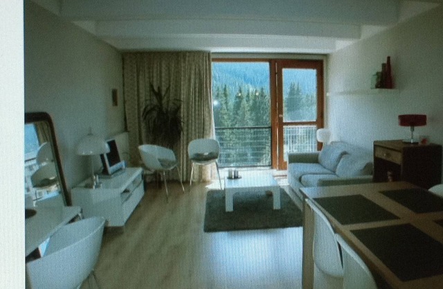 Apartment 50m² slopes on skis