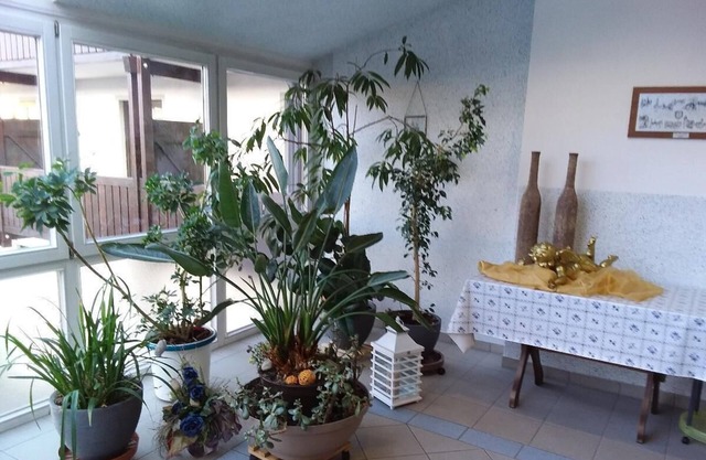 Apartment (60sqm) for 3 people with separate kitchen