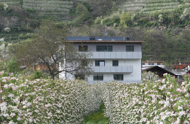 Apartment "Apple Blossom" with large balcony