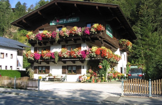 Apartment in Saalbach near Ski Slopes