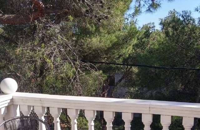 Apartment Eli - for nature lovers: A3(2+1) - Cove Rukavac, Island Vis, Croatia