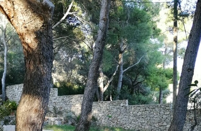 Apartment Eli - for nature lovers: A1(4+1) - Cove Rukavac, Island Vis, Croatia