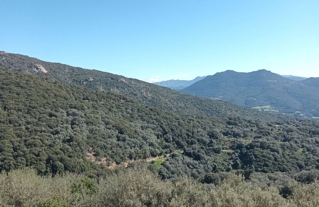 Apartment/flat in a private house