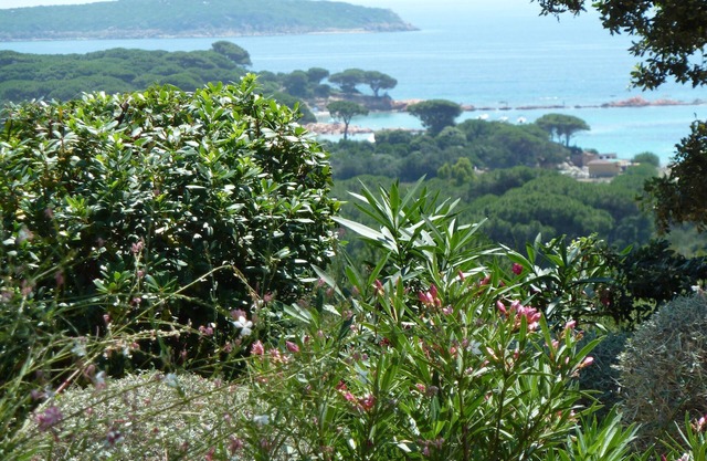 Apartment for 4 persons in Corsica (S/O) with sea view