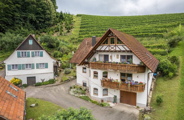 Apartment 'Gisela Müller' with Mountain View, Shared Terrace and Wi-Fi