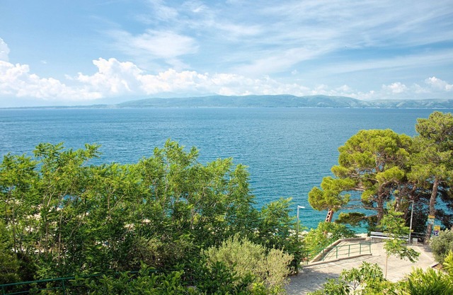 Apartment Gojko - 50 m from the beach: A2(6) - Zivogosce, Riviera Makarska, Croatia