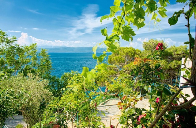 Apartment Gojko (10273-A1) - Zivogosce