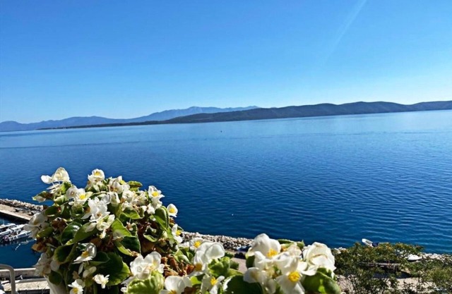 Apartment Gojko (10273-A3) - Zivogosce