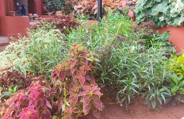 Apartment Guézo 3 Rooms Terrace Pool View