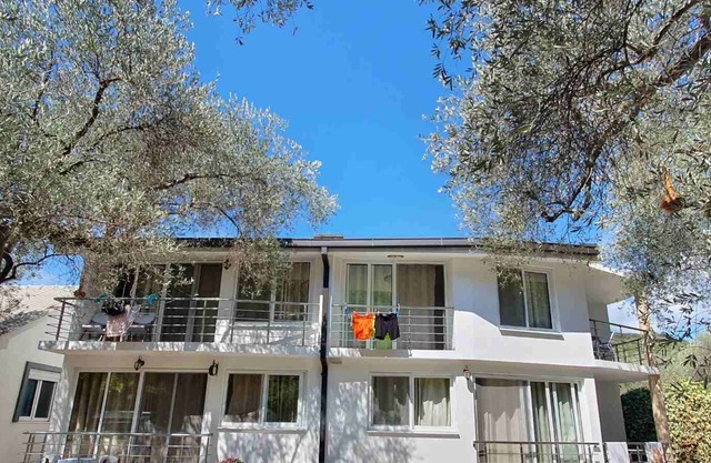 Apartment Home Under The Olive Trees