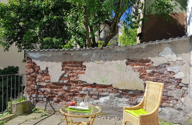 Apartment im Luisenviertel - Grün