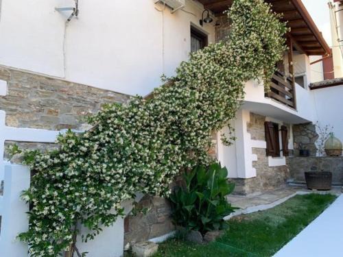 Apartment in Agios Nikolaos near Beach