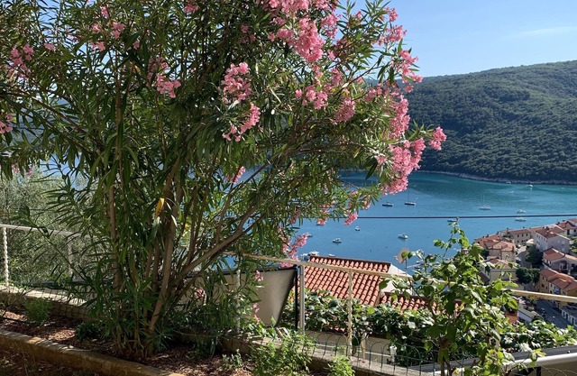 Apartment in Rabac (Labin), Iris, capacity 4 + 1